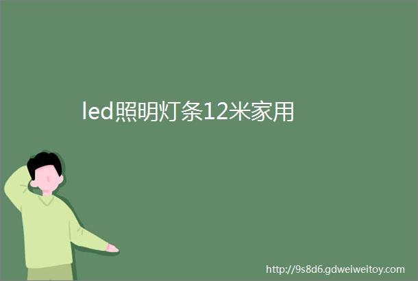led照明灯条12米家用